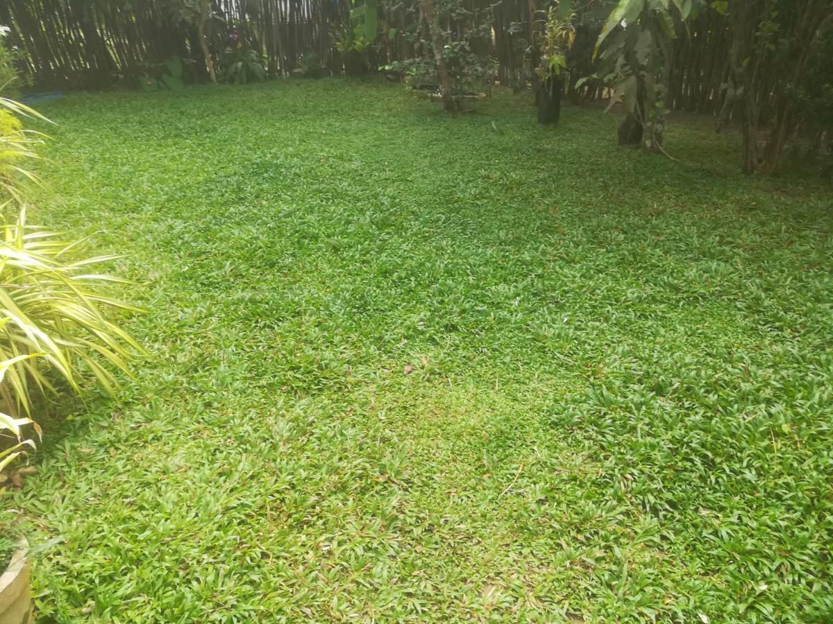 Bamboo Home Stay Hiriketiya Dikwella Kültér fotó