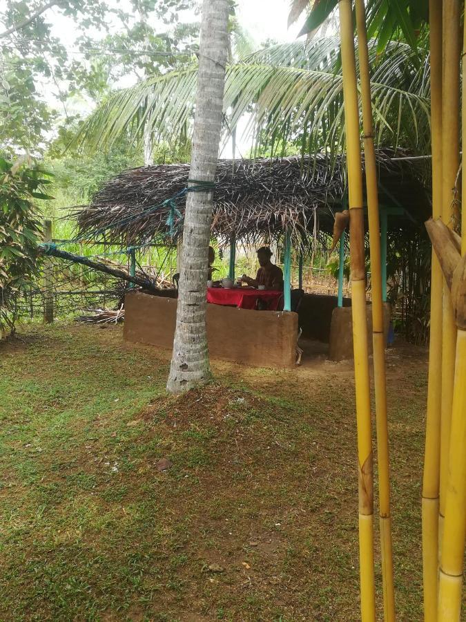 Bamboo Home Stay Hiriketiya Dikwella Kültér fotó