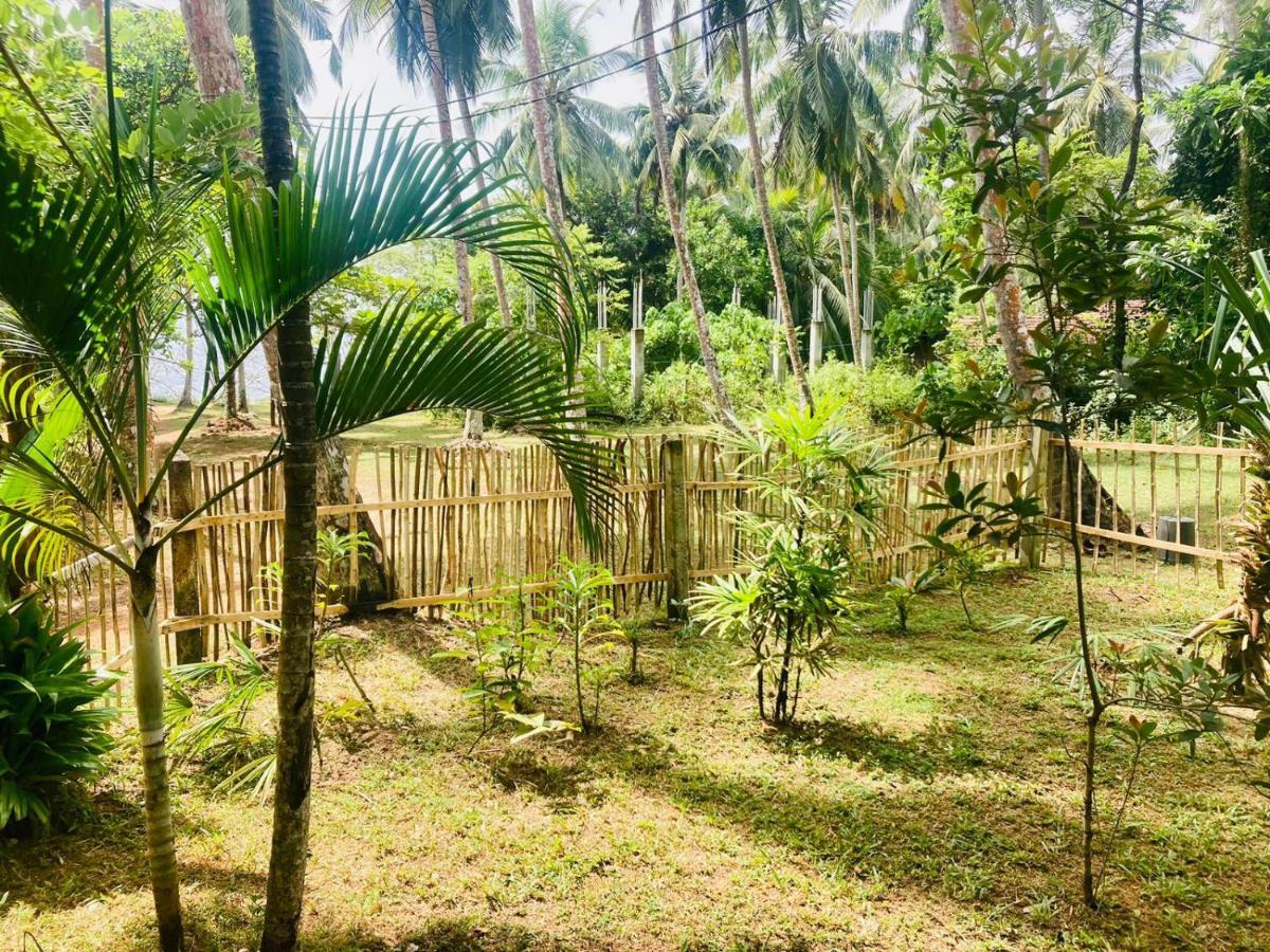 Bamboo Home Stay Hiriketiya Dikwella Kültér fotó